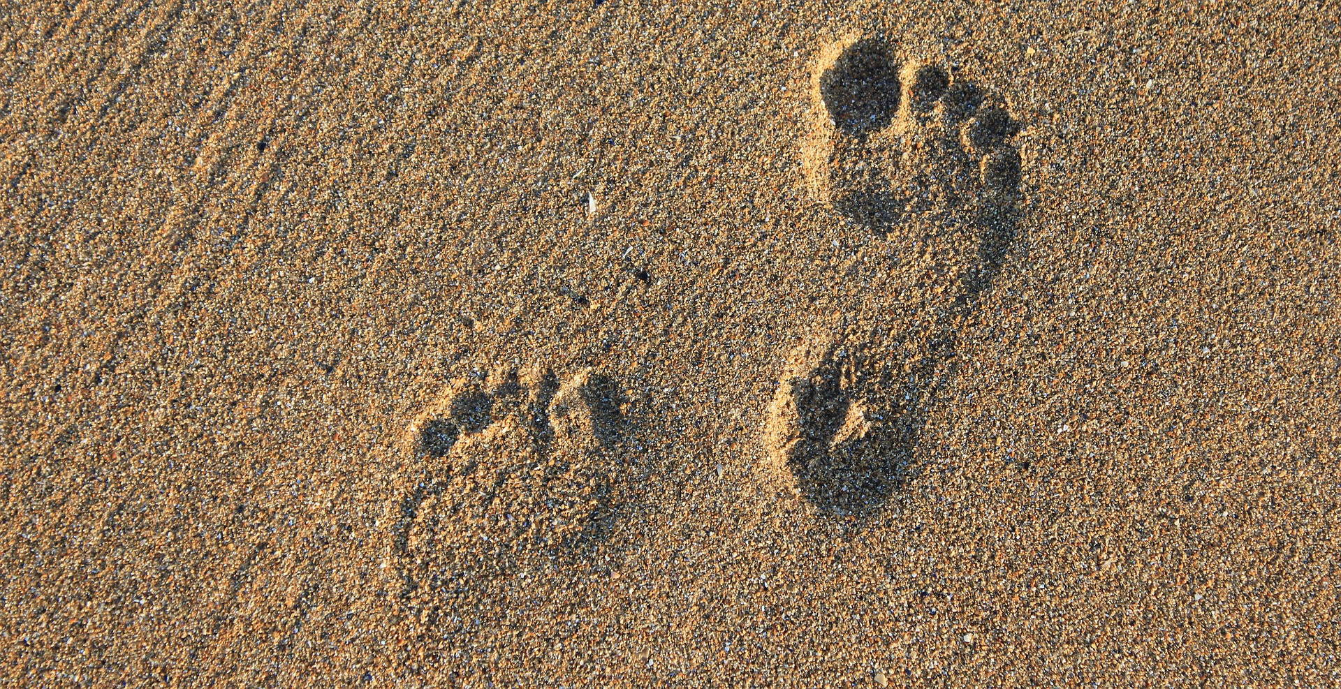 footprint-2353510_1920